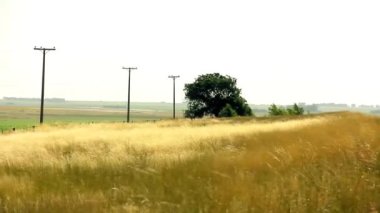 Ülke rüzgar ile ıssız