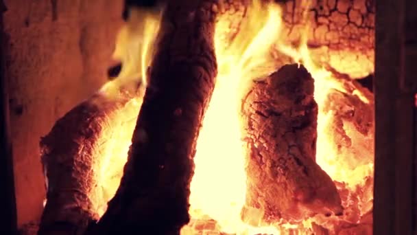 Holz im Lagerfeuer — Stockvideo