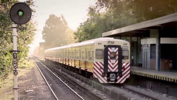 Treni argentini nella vecchia stazione — Video Stock