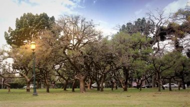 Bir cadde araçları ile yanındaki park