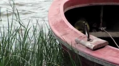 Nehire demirlemiş tekne