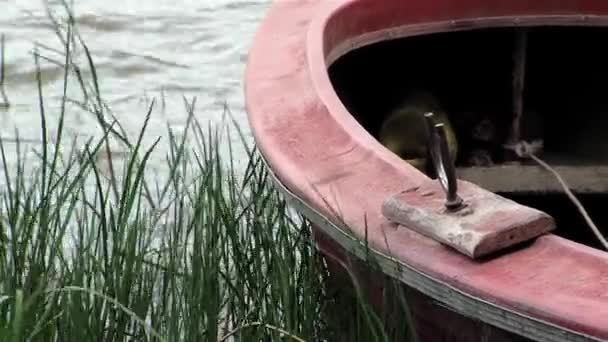 Лодка, брошенная на якорь в реке — стоковое видео