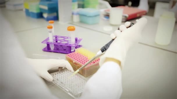 Научные исследования в лаборатории — стоковое видео