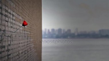 Rose In Parque De La Memoria, Buenos Aires, Argentina