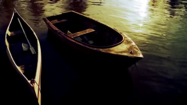 Barche a remi al tramonto — Video Stock