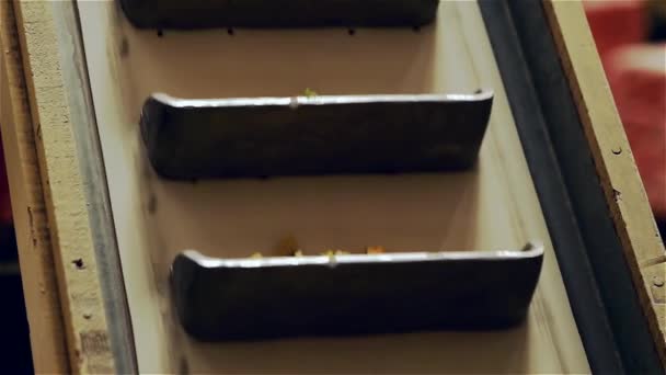 Линия производства лапши — стоковое видео