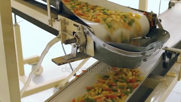 Noodle Industry Conveyor — Stock Video