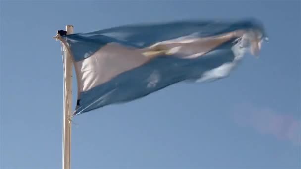 Argentiniens Flagge weht gegen blauen Himmel — Stockvideo