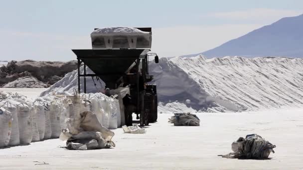 サリナス ・ グランデス、アルゼンチンで撮影された塩の労働者 — ストック動画