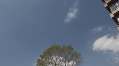 Ciudad Universitaria (Üniversite Şehri), Buenos Aires, Arjantin 