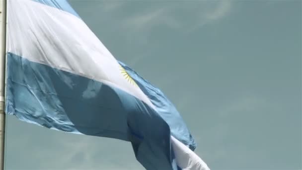 Arjantin bayrağı sallayarak — Stok video