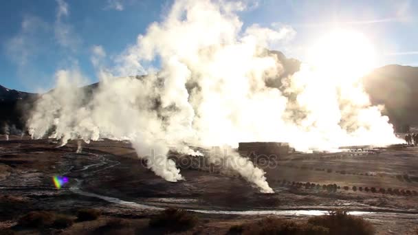 Geysers Del Tatio, En el desierto de Atacama, Chile — Vídeo de stock