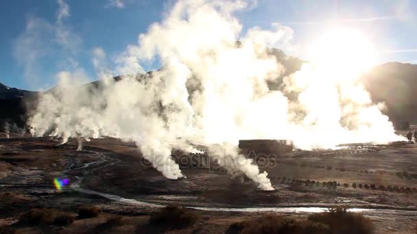 智利的卡玛卡沙漠 Tatio 喷泉 — 图库视频影像