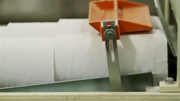 Línea transportadora en la industria del papel higiénico — Vídeo de stock