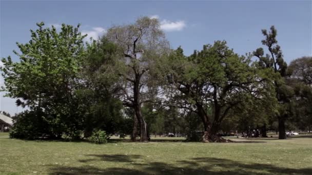 El Planetario Galileo Galilei — Vídeo de stock