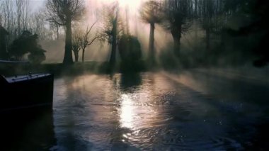 Tigre, Arjantin için orman nehri geçerken tekne