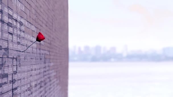 Röd Blomma Monument Till Offren För Den Argentinska Diktaturen — Stockvideo