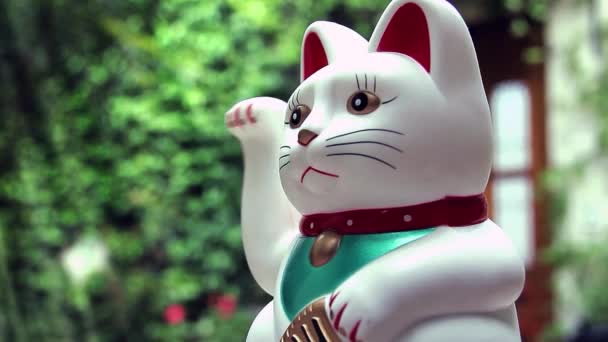 Maneki Neko Katt Lucky Cat Närbild — Stockvideo