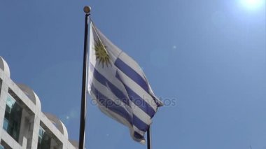 Montevideo Uruguay bayrağı
