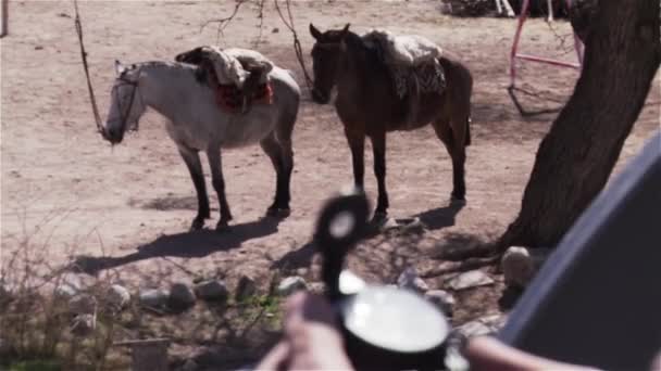 Man Zoek Naar Een Kompas Een Aantal Paarden Kijken Achter — Stockvideo