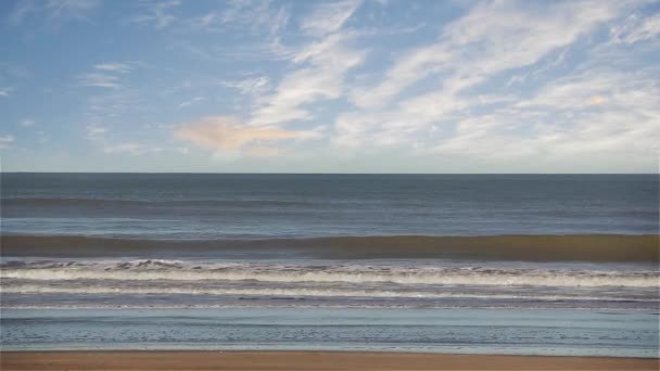 Beach Argentine Sea — Stock Video