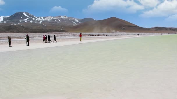 Turisti Piedras Rojas Salar Talar Salar Aguas Calientes Saline Deserto — Video Stock