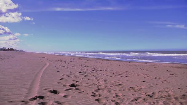 Plaża Oceanie Atlantyckim Argentynie — Wideo stockowe