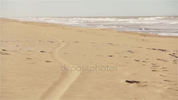 Bambini Che Giocano Con Cane Nero Sulla Spiaggia — Video Stock