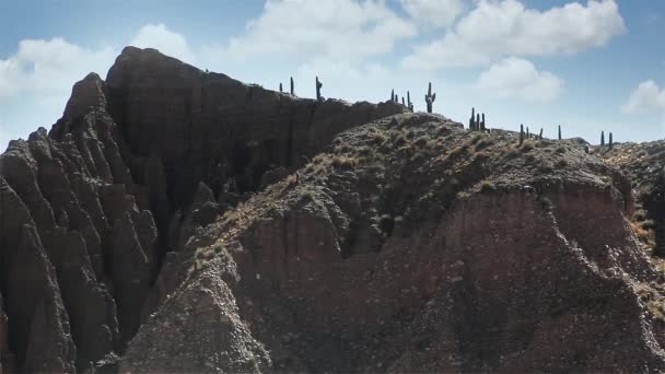 Hill Cactus Argentina — Stock Video