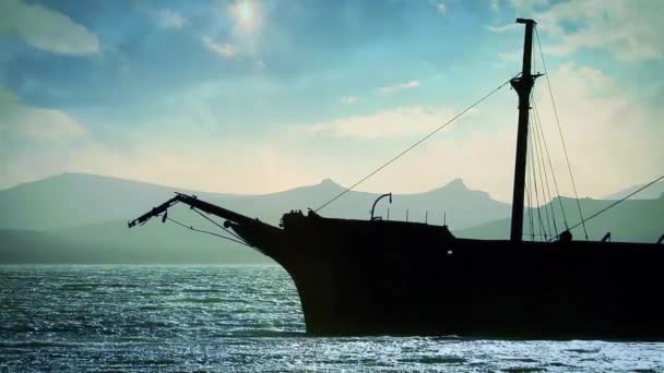 Lady Elizabeth Ship Wreck Islas Malvinas Falkland Islands — Stock Video