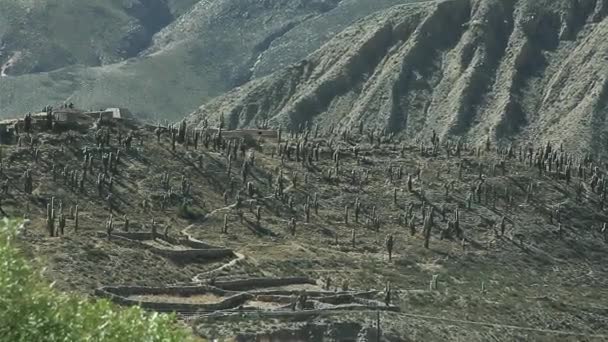 Archäologische Überreste Berg — Stockvideo