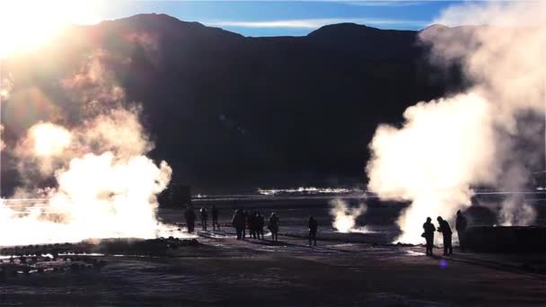 チリ北部のアンデス山脈内にあるエル タチオ間欠泉フィールド — ストック動画