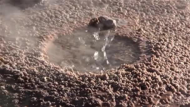 在智利的卡玛卡沙漠的间歇泉 Tatio 的一个小喷泉的细节 — 图库视频影像
