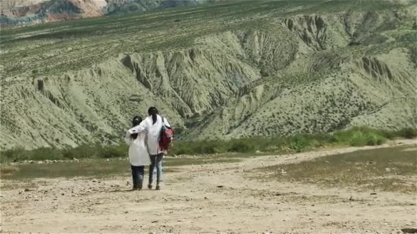 Studenti Amichevoli Che Camminano Verso Montagna Argentina — Video Stock