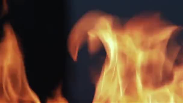 Flames Macro Filmed Monument Argentina — Stock Video