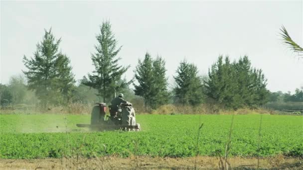 Traktor Auf Der Grünen Wiese — Stockvideo