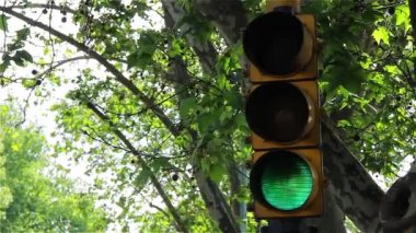 Buenos Aires'te bir ağaç dalları arasında trafik ışığı. Arjantin. 