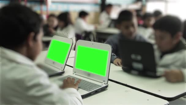 Étudiants Travaillant Avec Des Ordinateurs Classe Informatique Écran Vert Affichage — Video