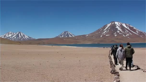 Visa Flera Vulkaner Altiplanic Laguner San Pedro Atacama Chile — Stockvideo