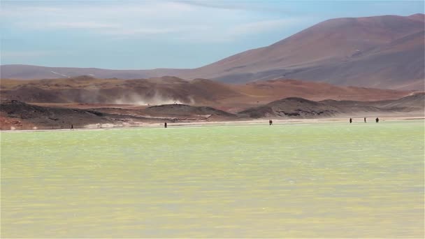Altiplanic Στη Λιμνοθάλασσα Έρημος Atacama Χιλη — Αρχείο Βίντεο