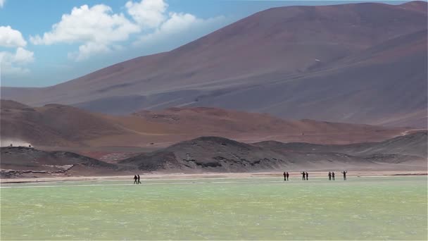 Лагуна Пьедрас Рохас Пустыня Атакама Чили — стоковое видео