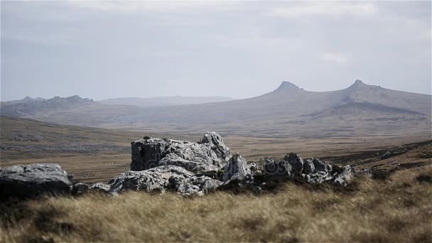 Two Sisters Mountain Falkland Islands Islas Malvinas — Stock Video