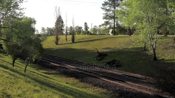 Treno Che Passa Una Valle Verde — Video Stock