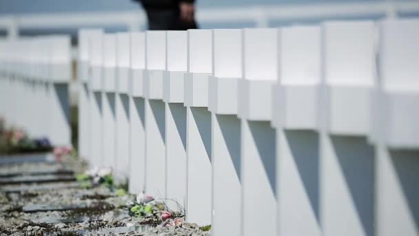 Cementerio Militar Argentino East Falkland Cerca Darwin Settlement Islas Malvinas — Vídeos de Stock