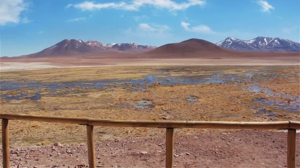 Altiplanic 卡玛卡沙漠智利 — 图库视频影像