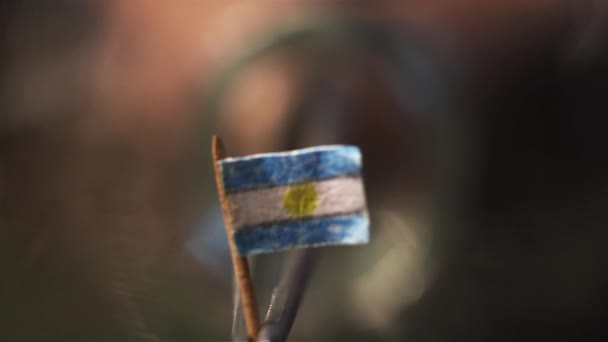 Argentiniens Flagge Miniaturformat Arbeit Zahnstocher — Stockvideo