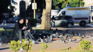 Güvercinler ve Park bankında Buenos Aires