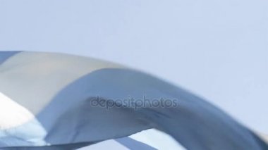 Arjantin bayrağı sallayarak karşı mavi gökyüzü