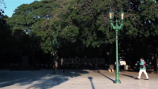 Plaza San Martin Retiro Buenos Aires — Stock Video