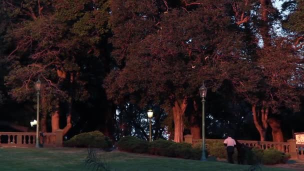 Lanternas Plaza San Martin Retiro Buenos Aires — Vídeo de Stock